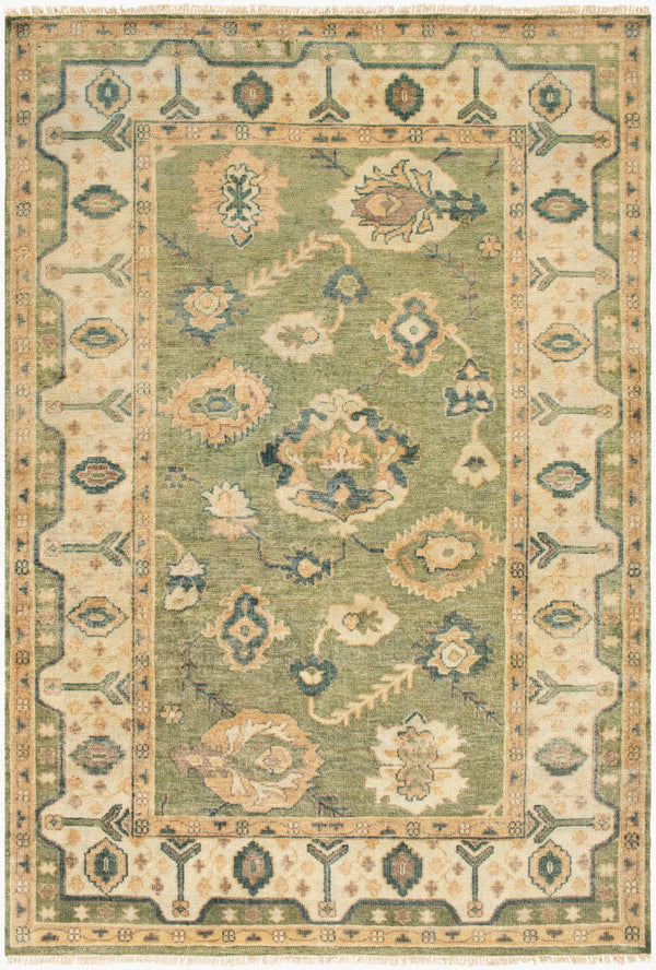 surya rug co hillcrest hil9017 olive rug