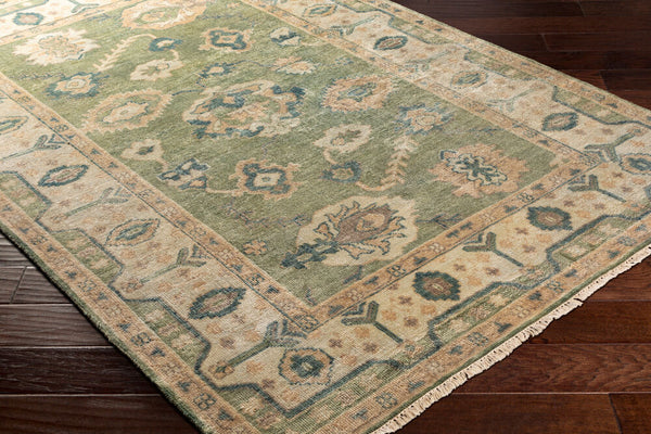 surya rug co hillcrest hil9017 olive rug
