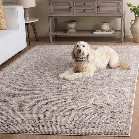 safavieh clearance harrison 400 hrs402b beige rug
