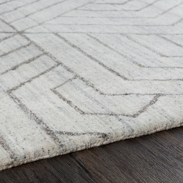 surya rug co hightower htw 3012 dark brown rug