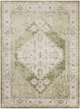 nourison astra machine washable asw11 ivory green rug