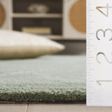 safavieh clearance harvest hvt201w sage rug