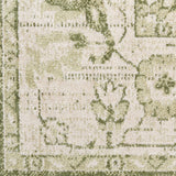 nourison astra machine washable asw12 ivory green rug