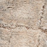 nourison dreamy shag drs09 ivory beige rug