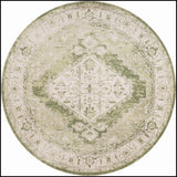 nourison astra machine washable asw11 ivory green rug