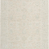 nourison envy evv03 cream rug