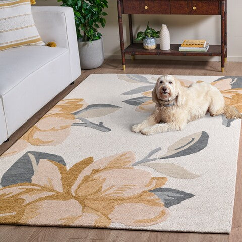 safavieh clearance jardin jar403b ivory rug