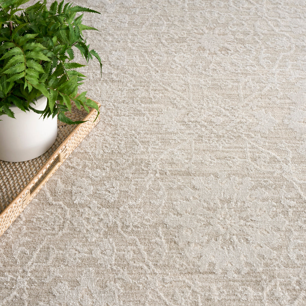 nourison envy evv05 cream rug