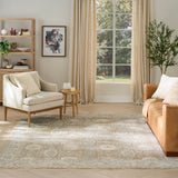 nourison envy evv05 mocha rug