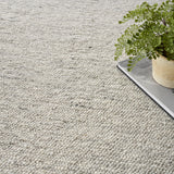 nourison alanna aln01 silver rug