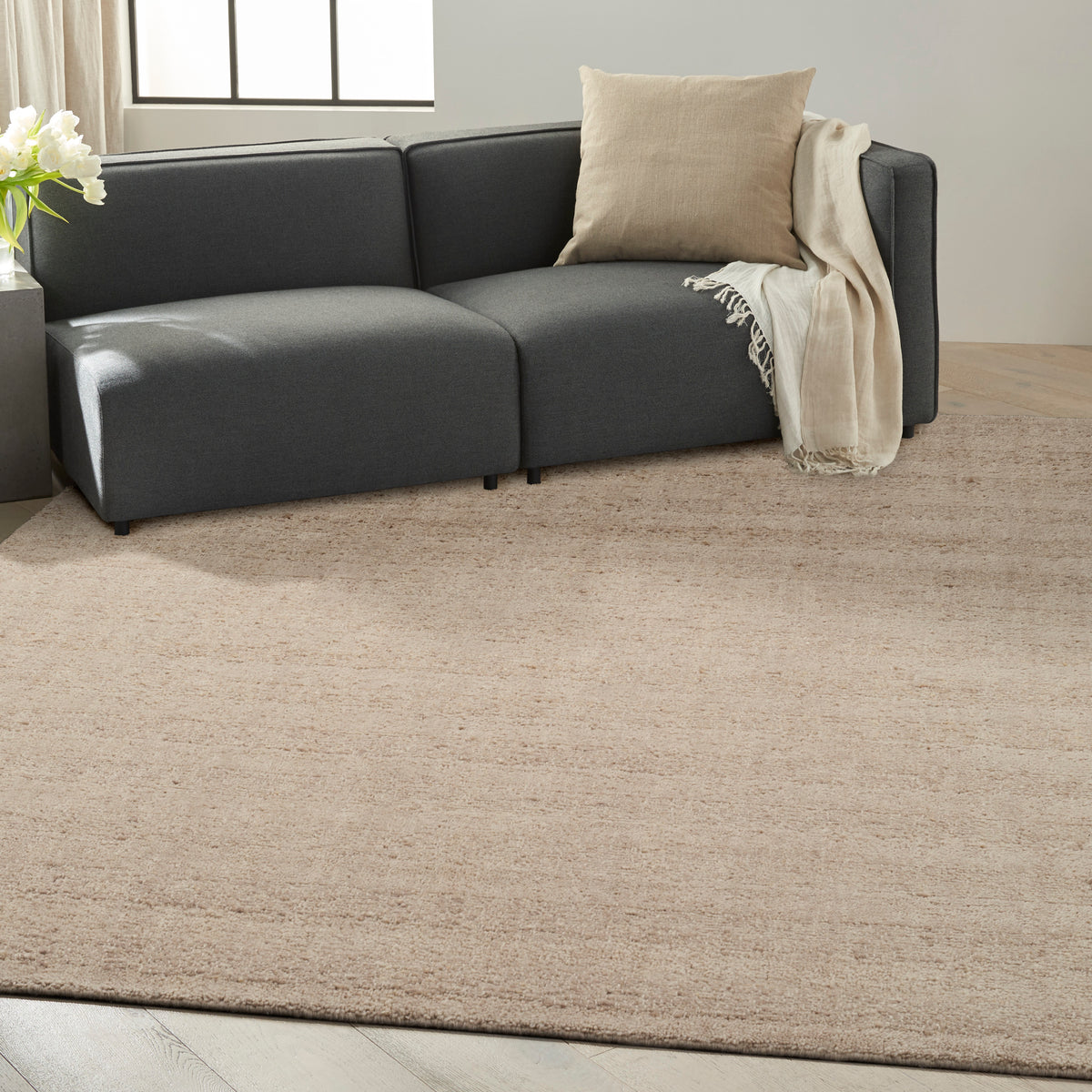 nourison ck043 spun spn01 beige rug