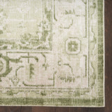 nourison astra machine washable asw11 ivory green rug