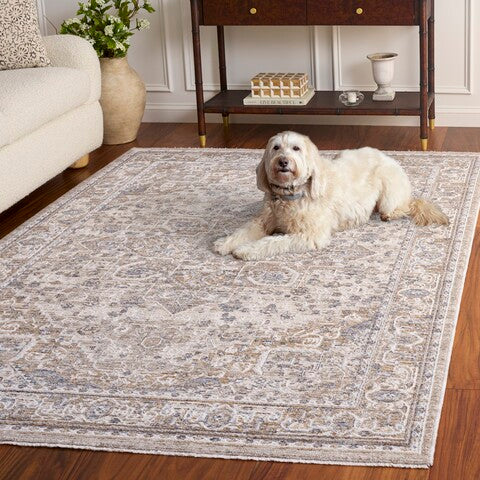 safavieh clearance kendal 800 ken800f grey rug