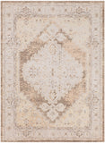nourison astra machine washable asw11 beige rug