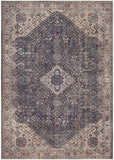 Hauteloom Kittrell KIT Beige Machine Made Chenille-Polyester Rug