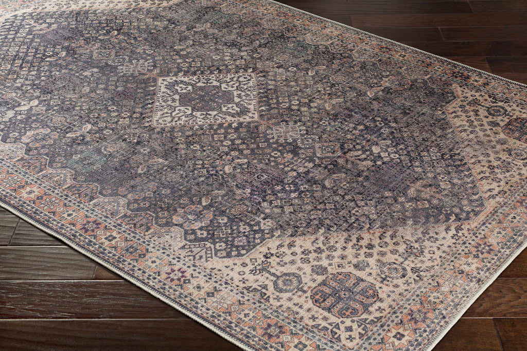 Hauteloom Kittrell KIT Beige Machine Made Chenille-Polyester Rug
