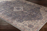 Hauteloom Kittrell KIT Beige Machine Made Chenille-Polyester Rug