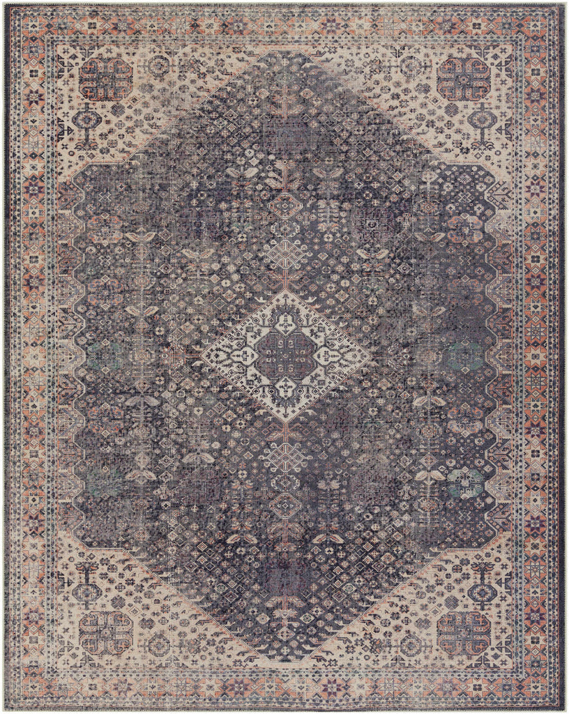 Hauteloom Kittrell KIT Beige Machine Made Chenille-Polyester Rug