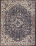 Hauteloom Kittrell KIT Beige Machine Made Chenille-Polyester Rug