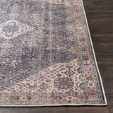 Hauteloom Kittrell KIT Beige Machine Made Chenille-Polyester Rug