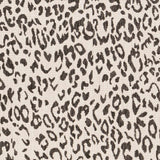 Hauteloom Alderbury LDRB Black Machine Made Polypropylene Rug