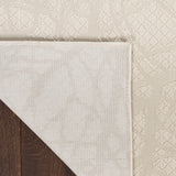 nourison desire dsr09 beige rug