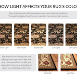 safavieh clearance lyndhurst lnh212a black rug