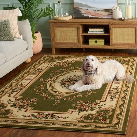 safavieh clearance lyndhurst lnh218b sage rug