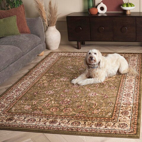 safavieh clearance lyndhurst lnh219b sage rug