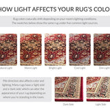 safavieh clearance lyndhurst lnh330b red rug