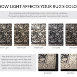 safavieh clearance lyndhurst lnh340d anthracite rug
