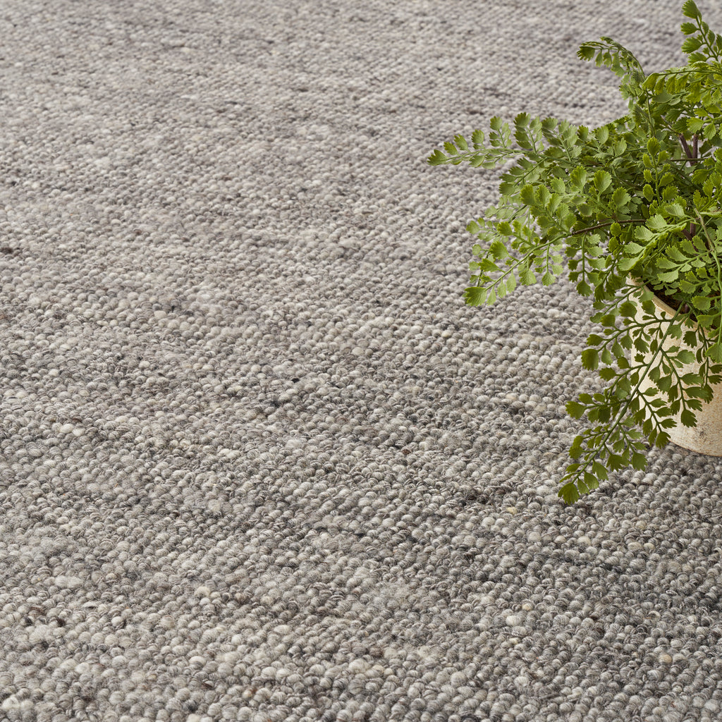 nourison alanna aln01 grey rug