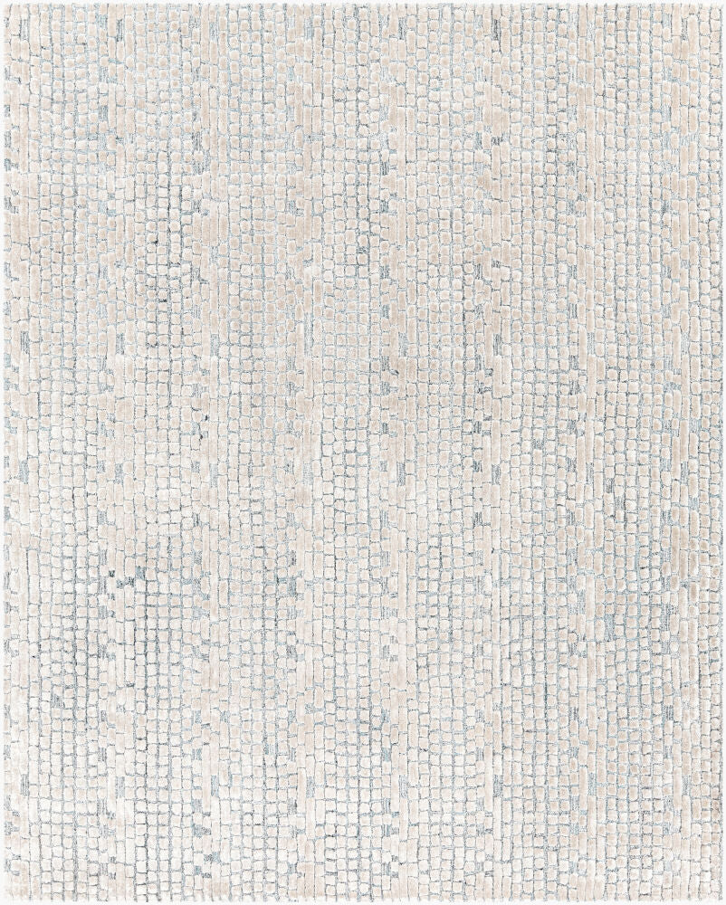 surya montclair mtc 2309 taupe rug