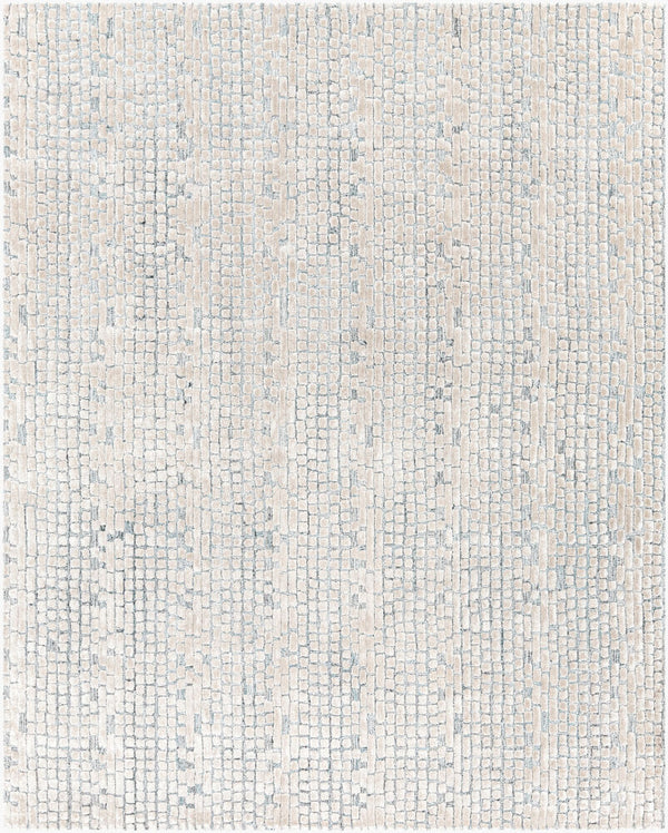 surya montclair mtc 2309 taupe rug
