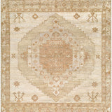 surya malayer myr 2301 beige rug