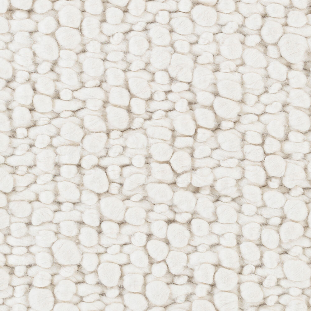 surya rug co neravan ner 1003 cream rug