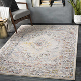 Hauteloom Newkirk NEWK Taupe Machine Made Polypropylene Rug