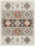 Hauteloom Newsoms NEWSO Silver Gray Machine Made Polypropylene Rug
