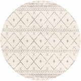Hauteloom Newville NEWV White Machine Made Polypropylene Rug