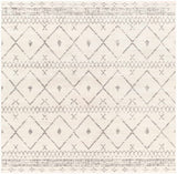Hauteloom Newville NEWV White Machine Made Polypropylene Rug