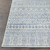Hauteloom Novato NOV Blue Machine Made Polypropylene Rug