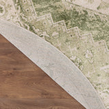nourison astra machine washable asw11 ivory green rug