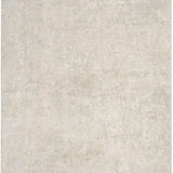 nourison envy evv01 ivory grey rug