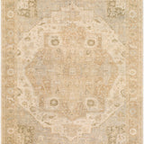 surya odyssey ody 2308 beige rug