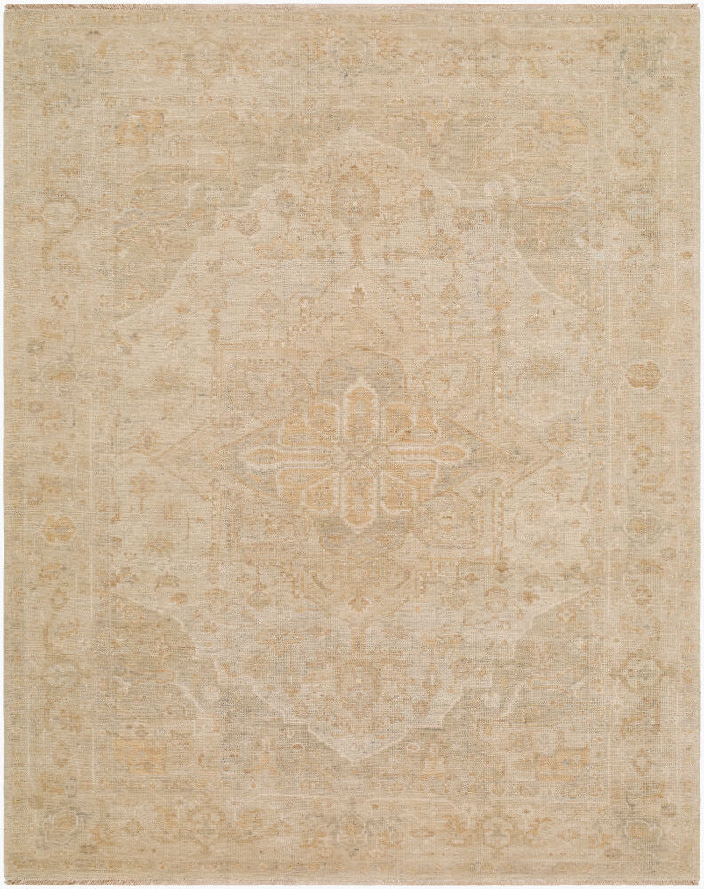 surya odyssey ody 2309 beige rug