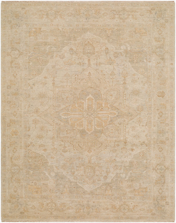 surya odyssey ody 2309 beige rug