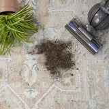nourison astra machine washable asw12 beige rug