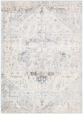 Hauteloom Orrick ORRI Light Gray Machine Made Polypropylene Rug