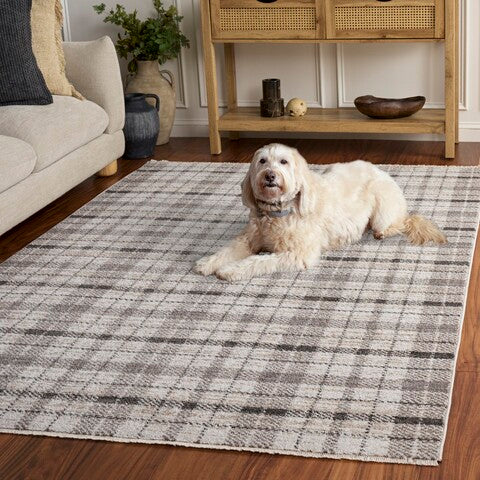 safavieh clearance oxford plaids 300 oxp304g grey rug