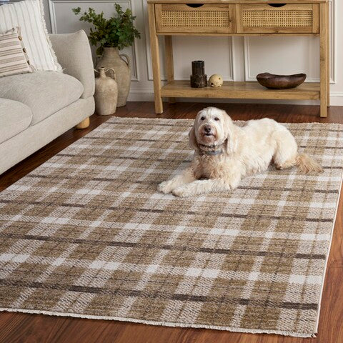 safavieh clearance oxford plaids 300 oxp304t beige rug